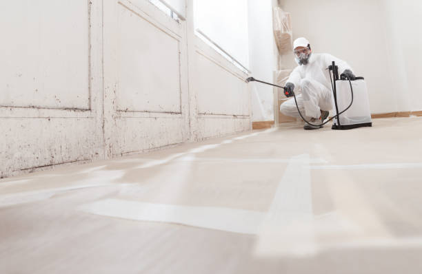 24/7 Emergency Black Mold Remediation experts in Franklin, NJ